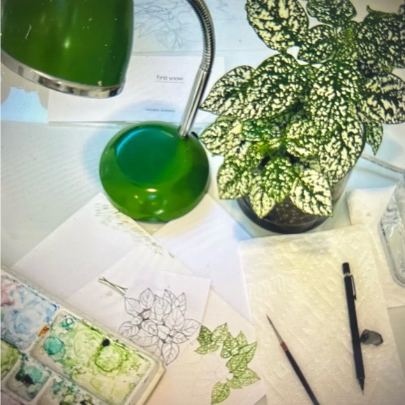 First Snow Houseplant from Potting Shed - Picture 4 of 5